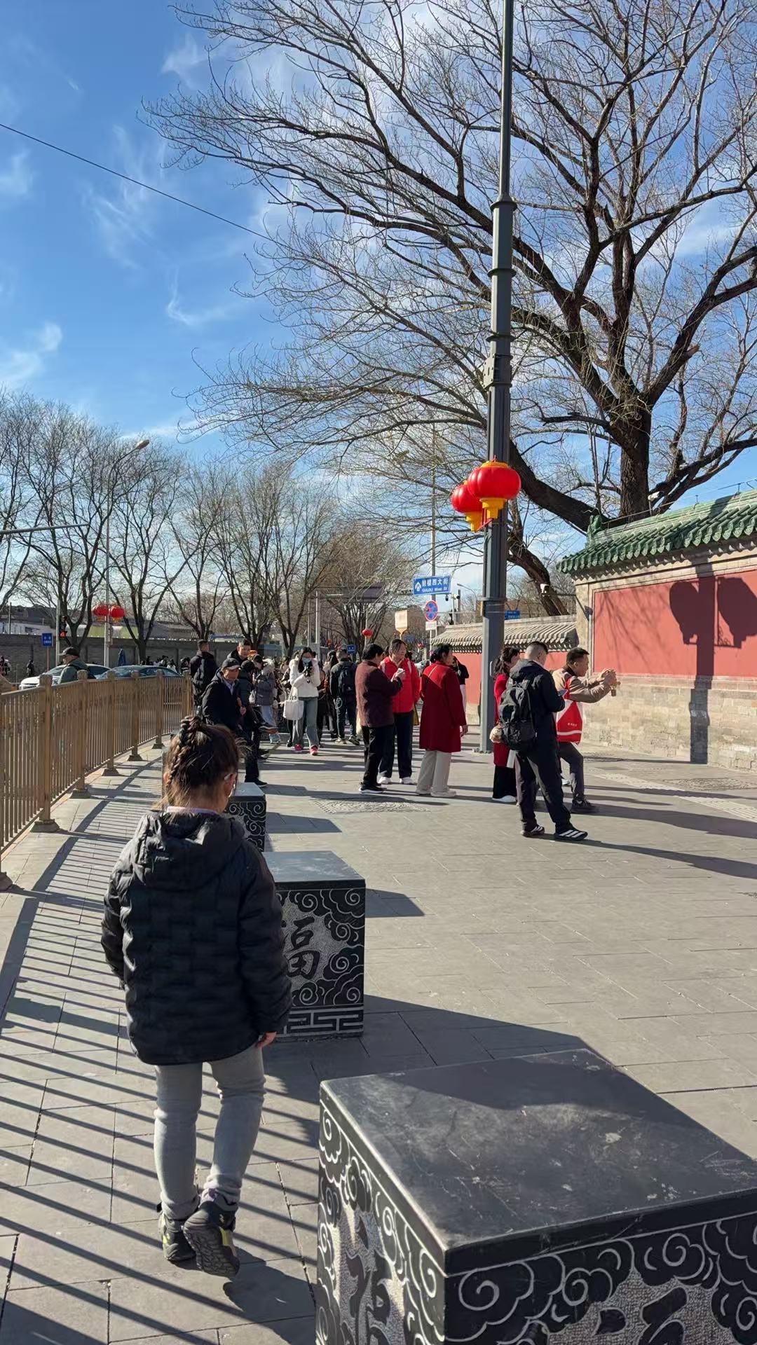 大年初二游鼓楼

文/青云
昨日鼓楼风渐暖，红墙树影入眸清；
棋宝信步追光走，宝