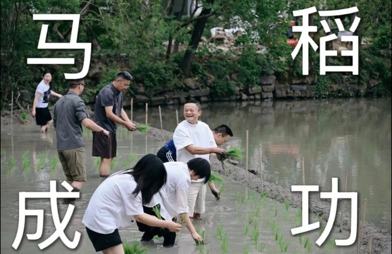 该种的时候必须种，该熬的时候就得熬。"看到这句话的时候愣了一下。这是阿里管理层下