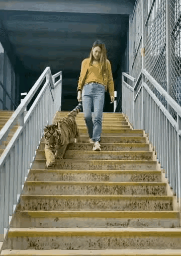 美女与大猫🐯 ​​​