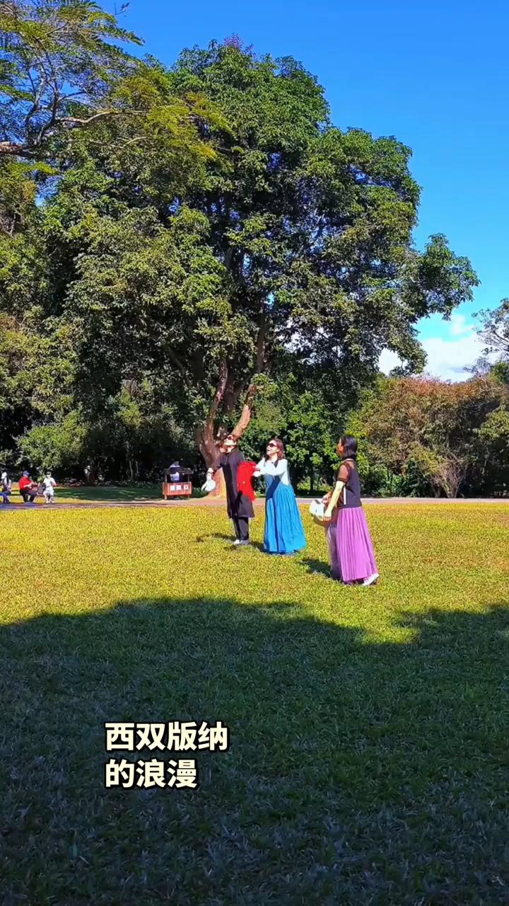 西双版纳的浪漫。