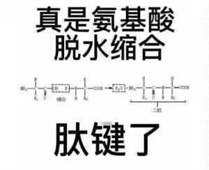 王楚钦想不通为何球板被踩断 大家都想不通 所以为什么没人去找反而是要让他一次又一