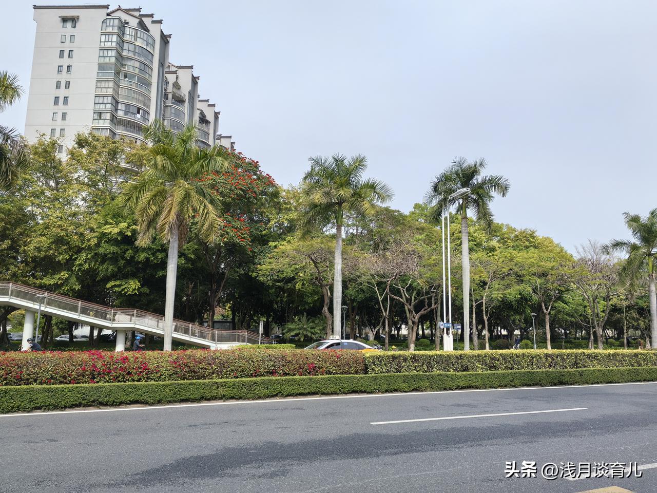 今年春天最想实现的心愿
说来简单，却又很难。
不求孩子多优秀、多拔尖，
不求成绩