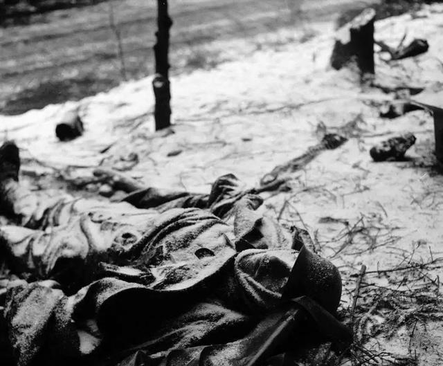 希特勒曾经早就说过：“如果有一天德国民族不再足够强大，或者不准备做出牺牲，以自己