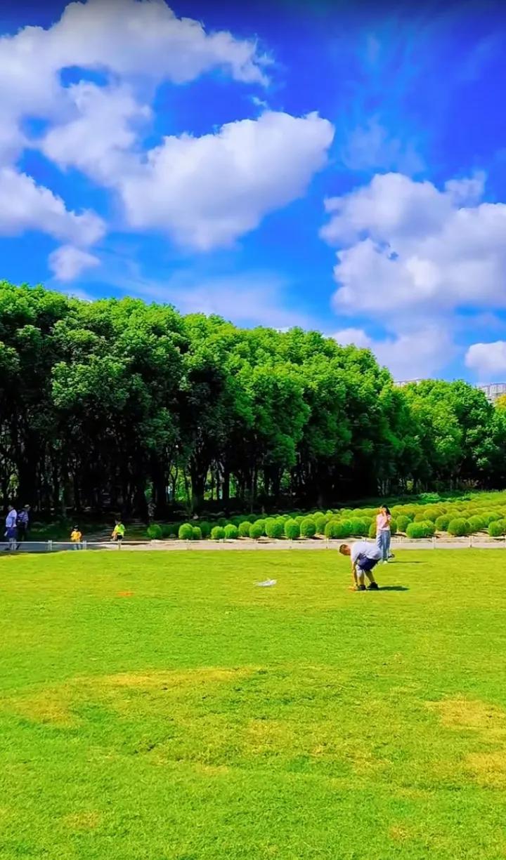 今天偶然抬头，被眼前的天空深深震撼。湛蓝如宝石的底色上，洁白的云朵像棉花糖般肆意