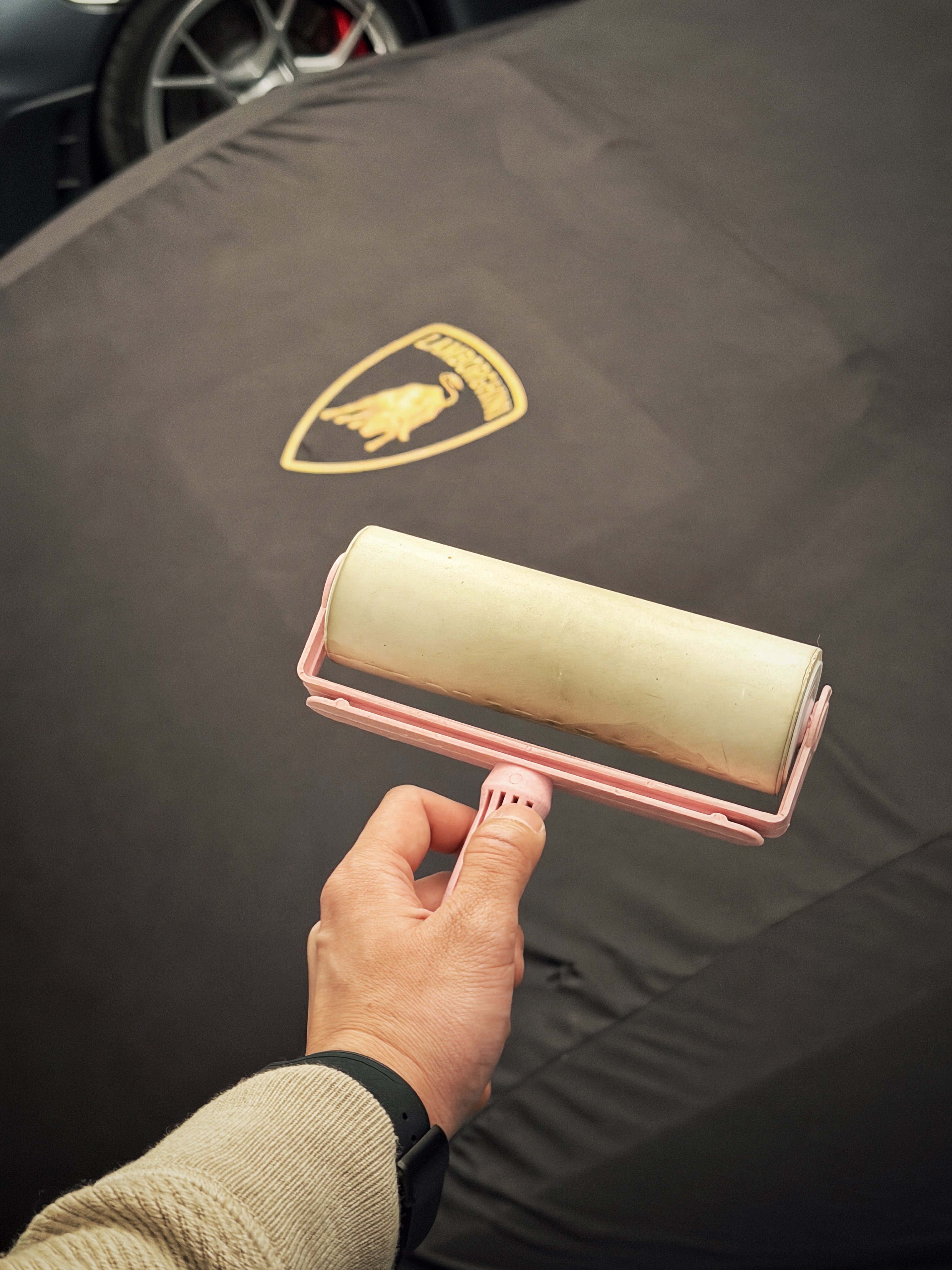 深夜开始工作前，给在我车上拉尿的猫哥把猫粮准备好🥣，把车衣上的猫毛也滚干净，安