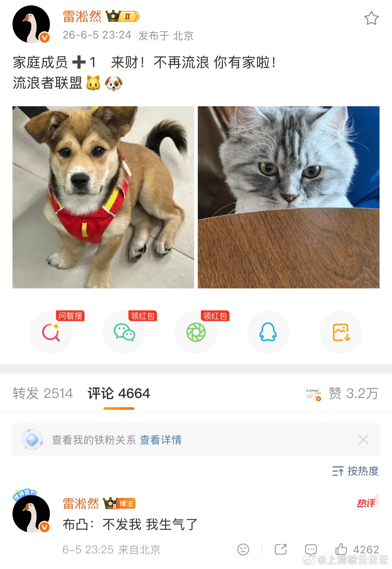呈雷真的好像那个什么情侣宠物博主。。家里的猫猫狗狗的又养又捡越来越多。。人均三只