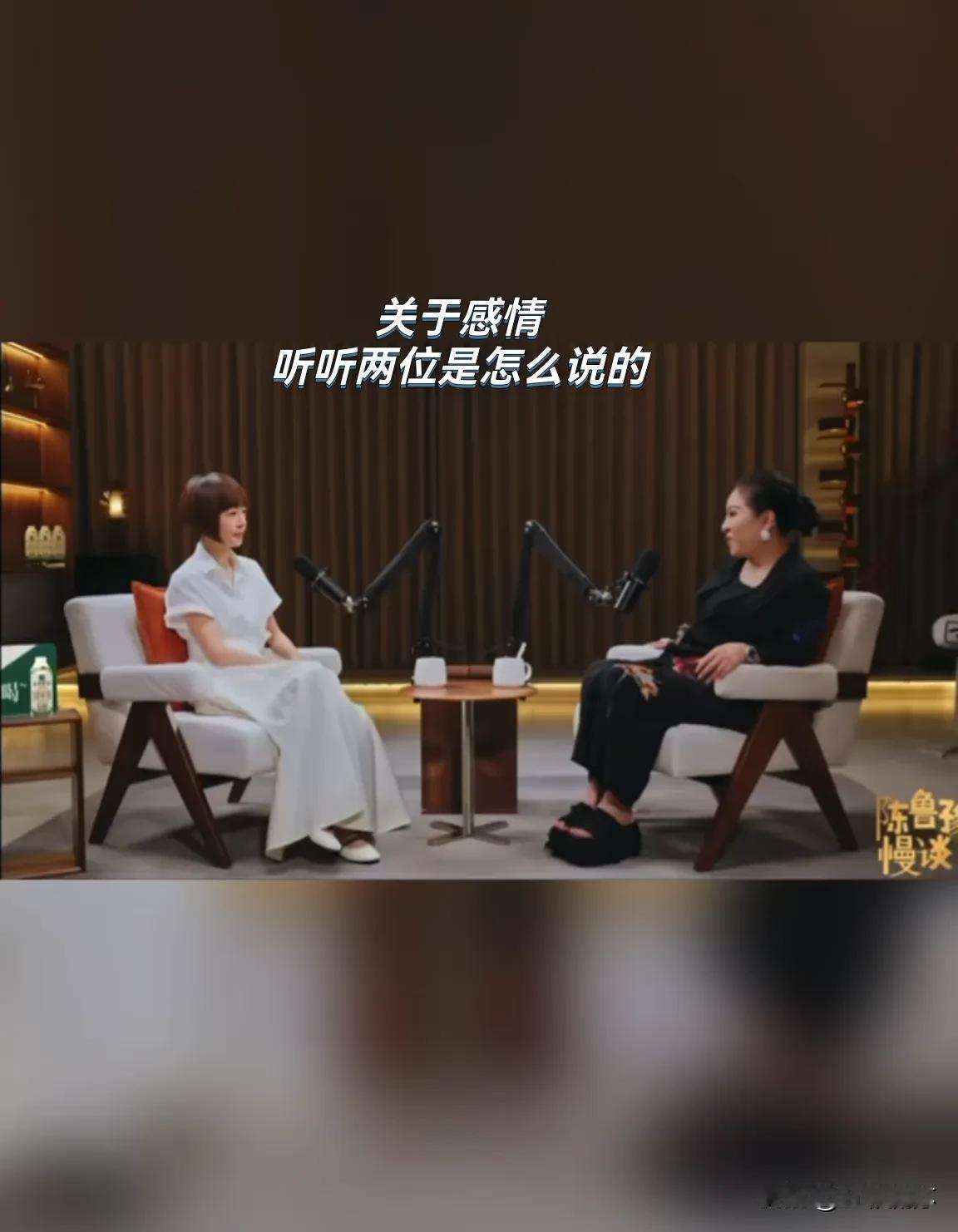 鲁豫漫谈节目中，我截取了鲁豫对话向太陈岚那期中比较有看点的那段，是关于徐克和施南