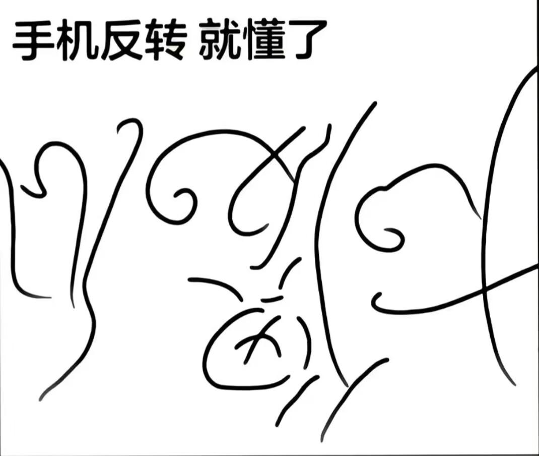 看着乱糟糟一团线条，完全看不出画的啥。提示把手机反转过来，瞬间恍然大悟，原来是一