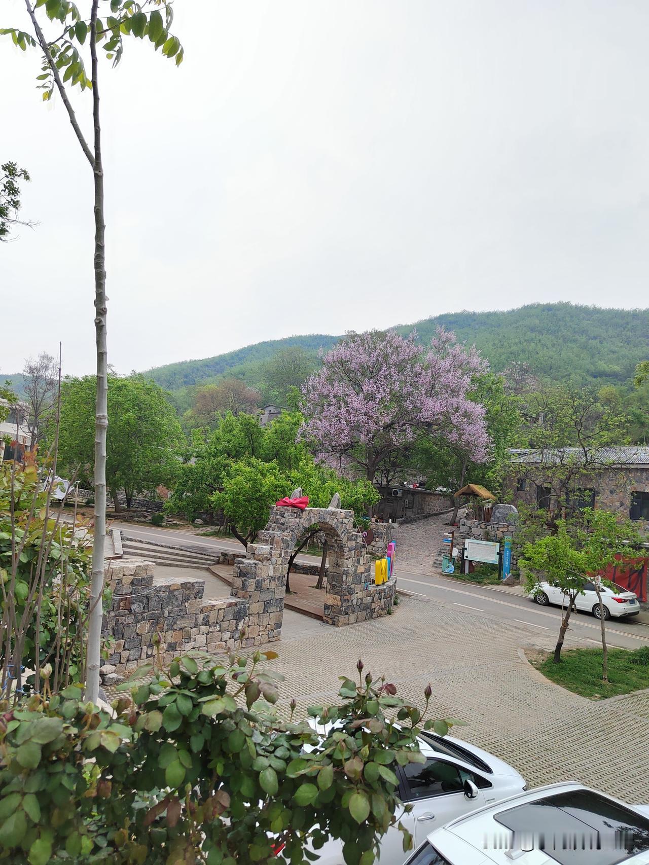 退休工资4000，住养老院紧张得不要不要的！
就以我们居住的这个城市为例，我曾经