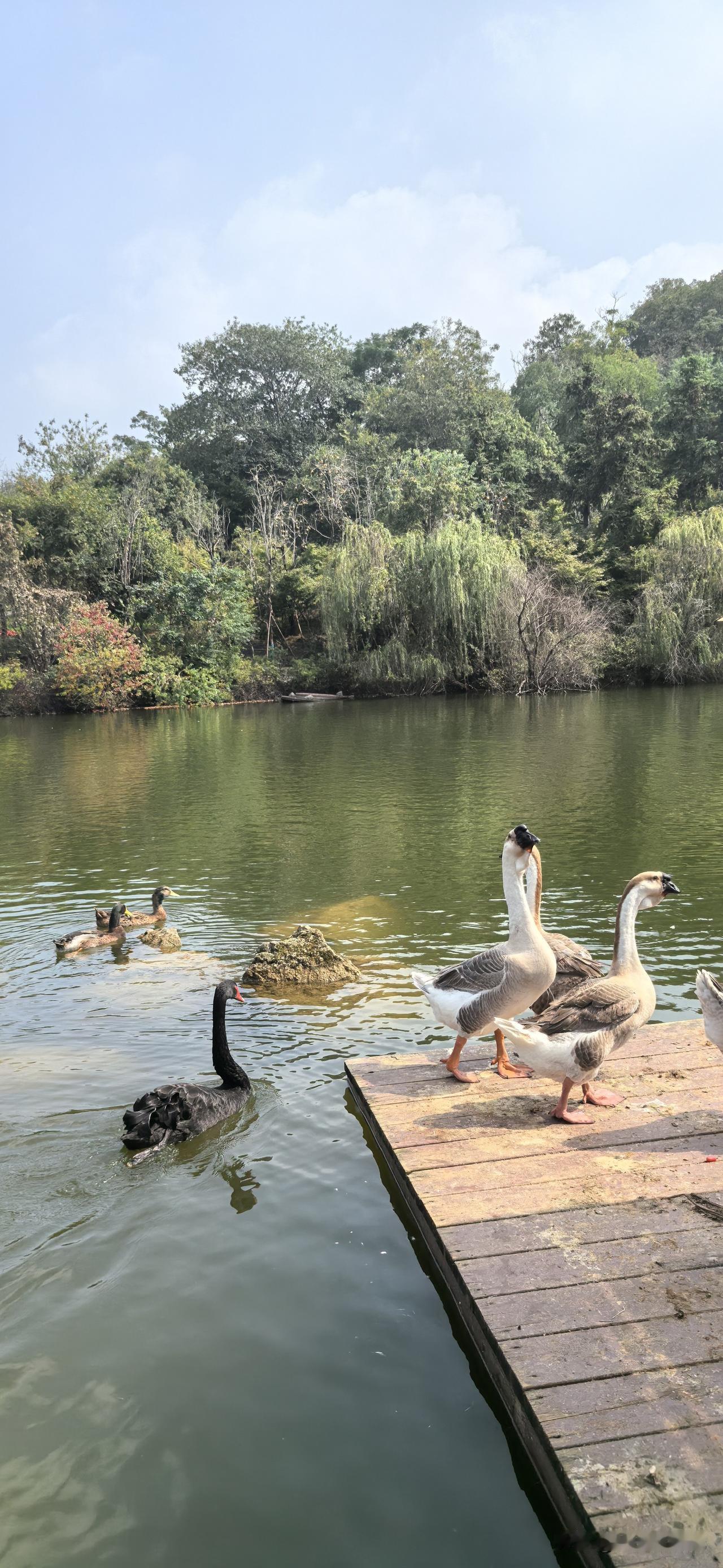 今天的西宁，虽然节气上已立春，但春色并非想象中的和煦明媚，天气时晴时阴，气温骤降