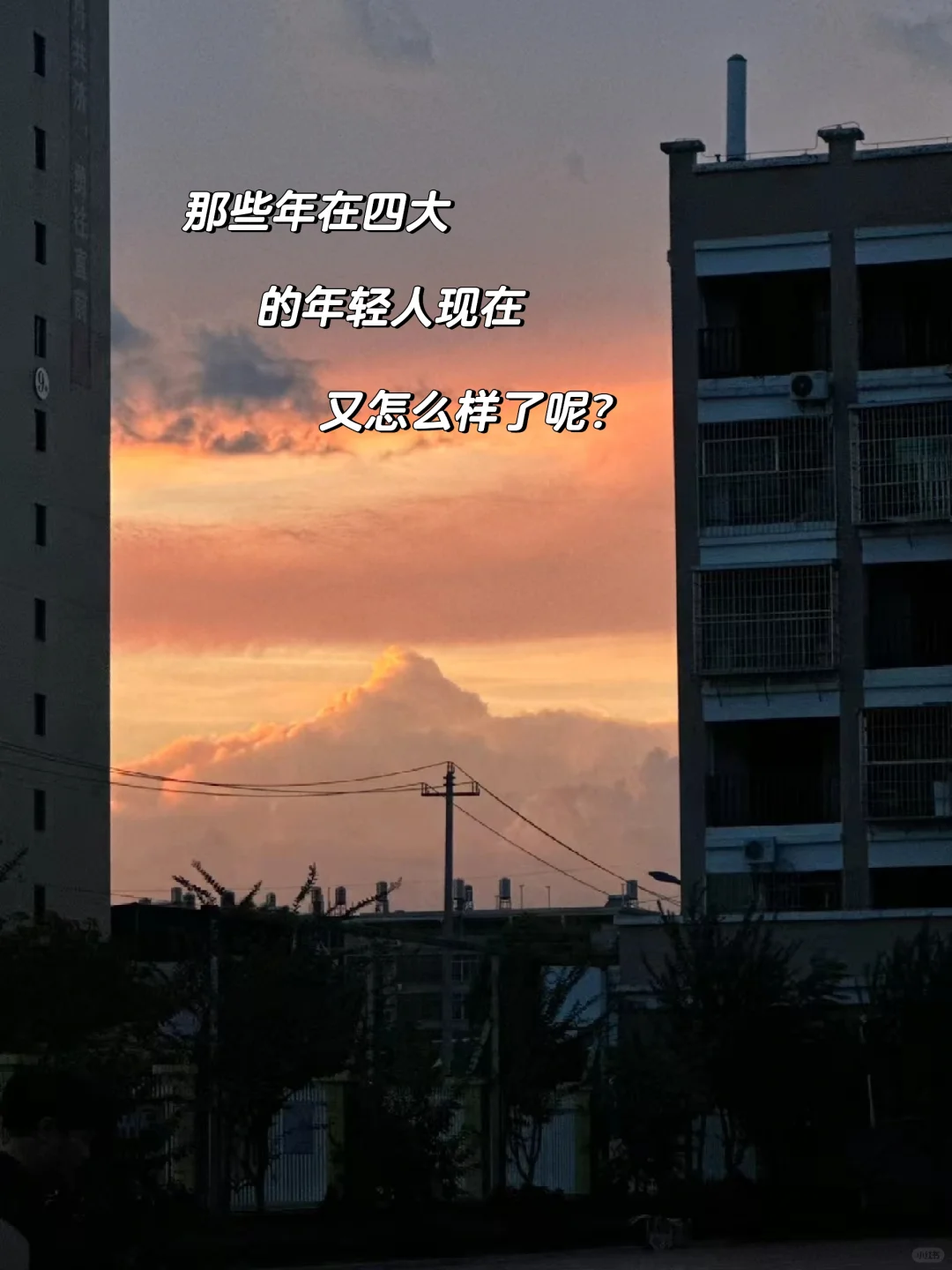 那些年在四大的年轻人现在又怎么样了（2）