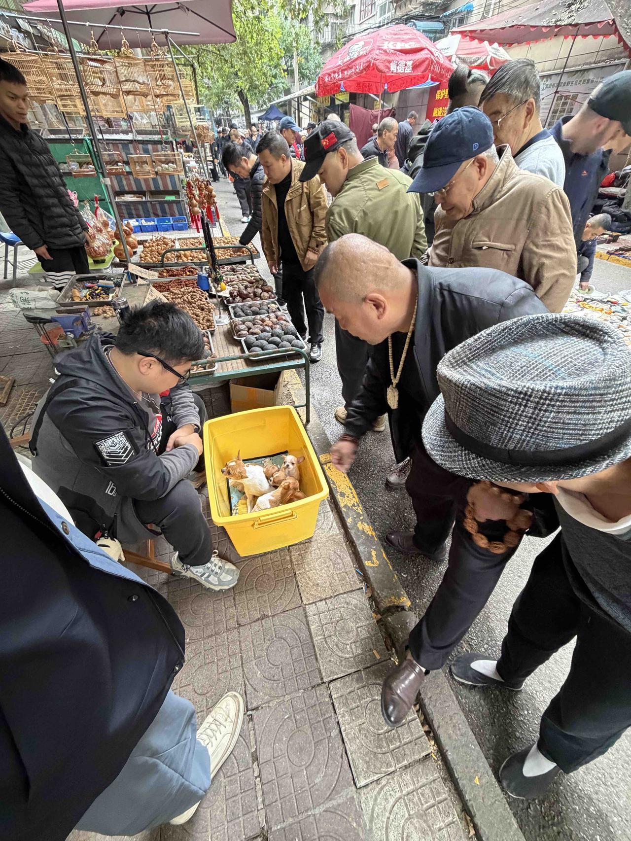 今天上午，我逛西安档子，走到西仓西巷时，看到路边一家摊上，围着不少的人，就走了过