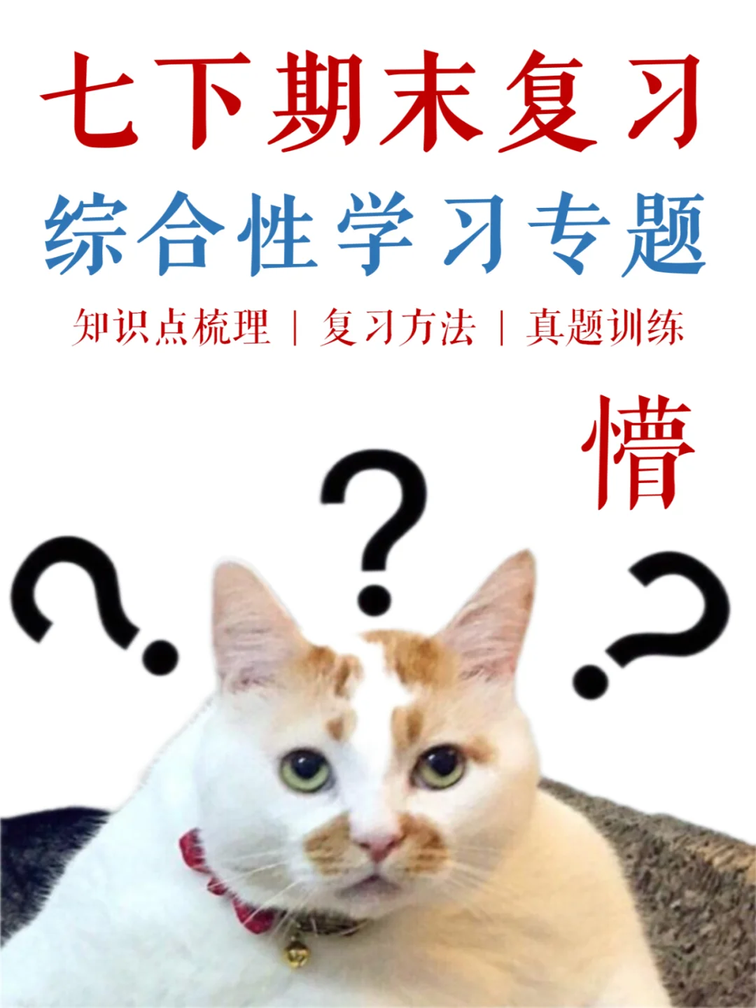 七下期末，综合性学习不想扣分，把握这4点