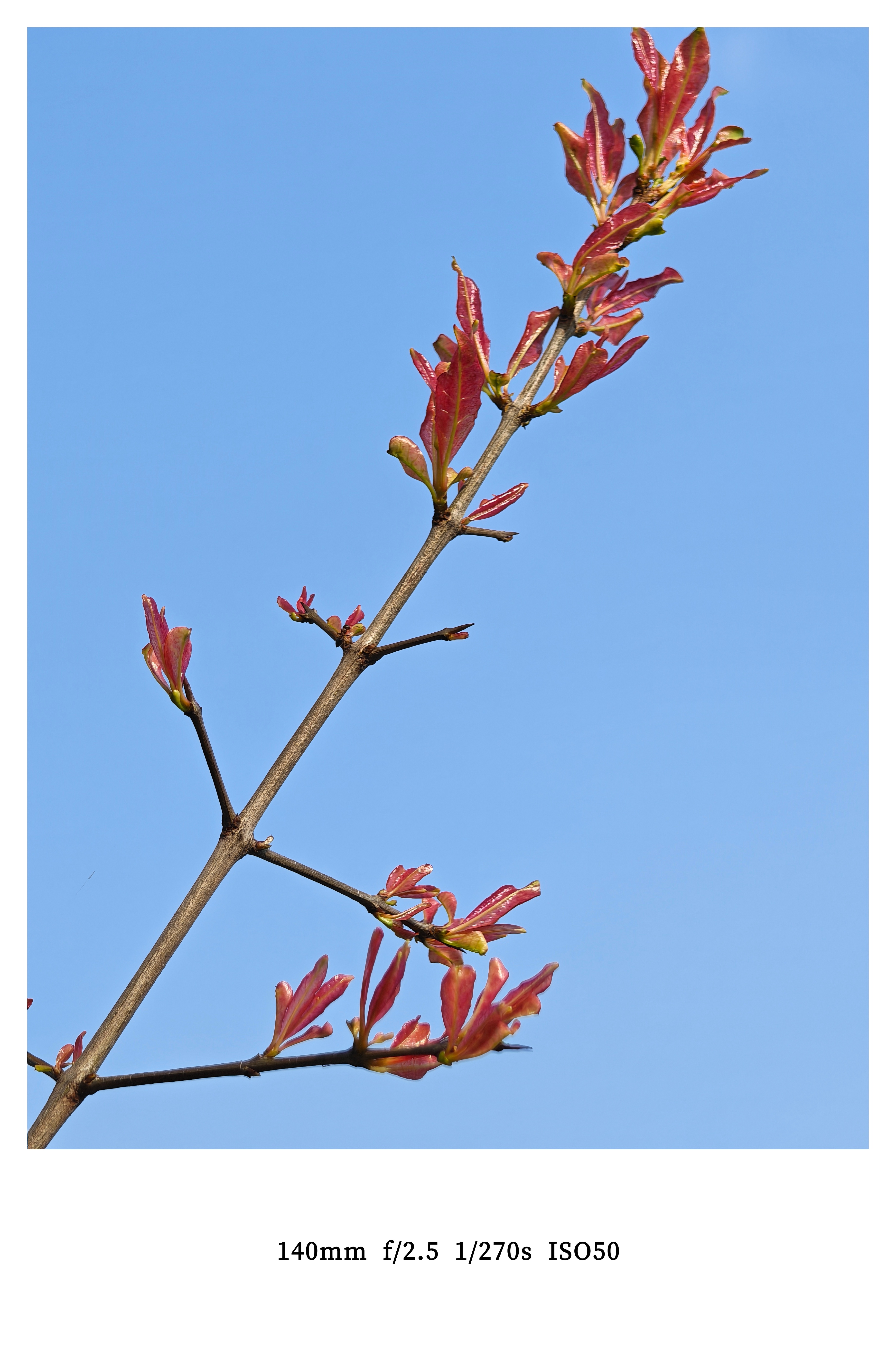 内存涨价难不成要蔓延到电动车领域了？昨天上午孩子妈的电动车因充不进电有推去看了下