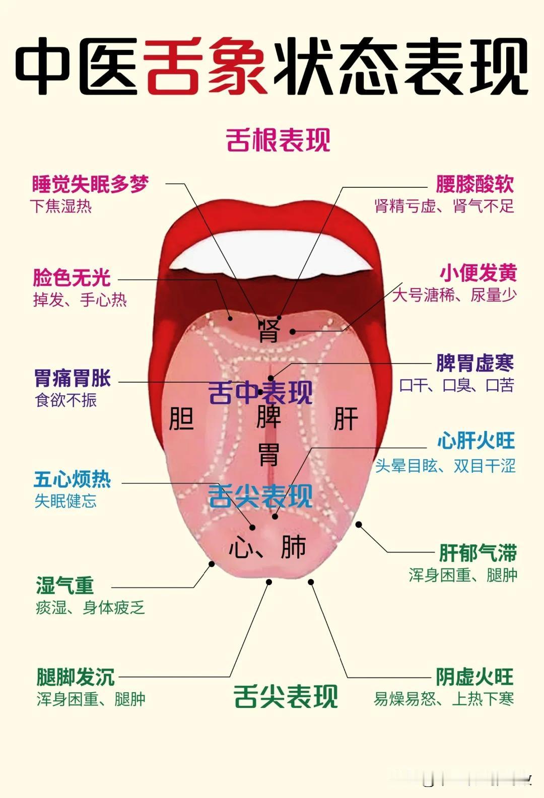 舌头是脾胃的眼睛，舌面上的这些情况代表什么，你知道吗？
 
1、舌苔发白
脾虚寒