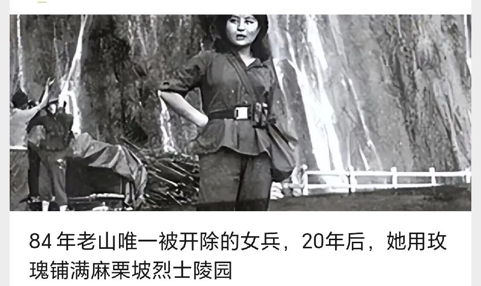 84年老山唯一被开除的女兵，20年后，她用玫瑰铺满麻栗坡烈士陵园


1984年