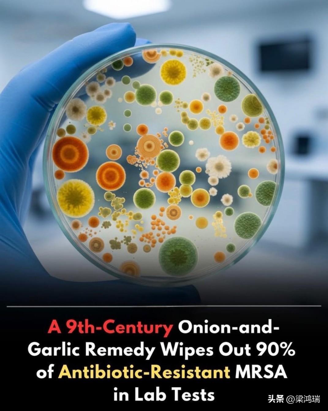 一种可以对抗超级细菌的古代抗生素？

如果一份千年前的秘方能破解现代抗生素耐药性