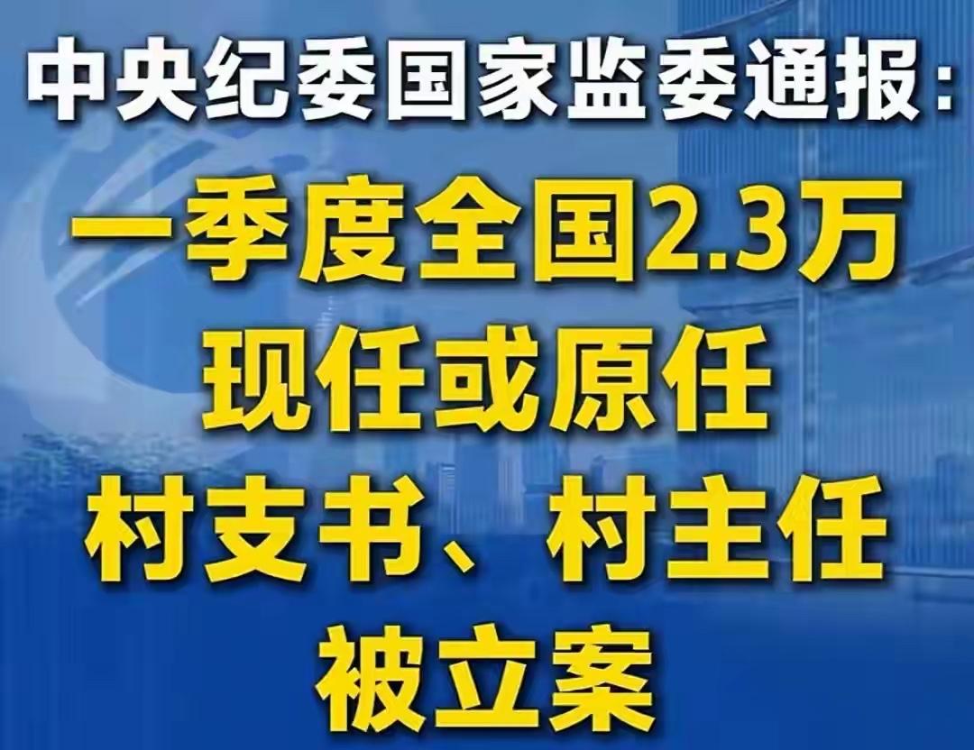 这看完23000人落马的数据，我为那些真正的村干部感到心疼

说实话，看到这个数