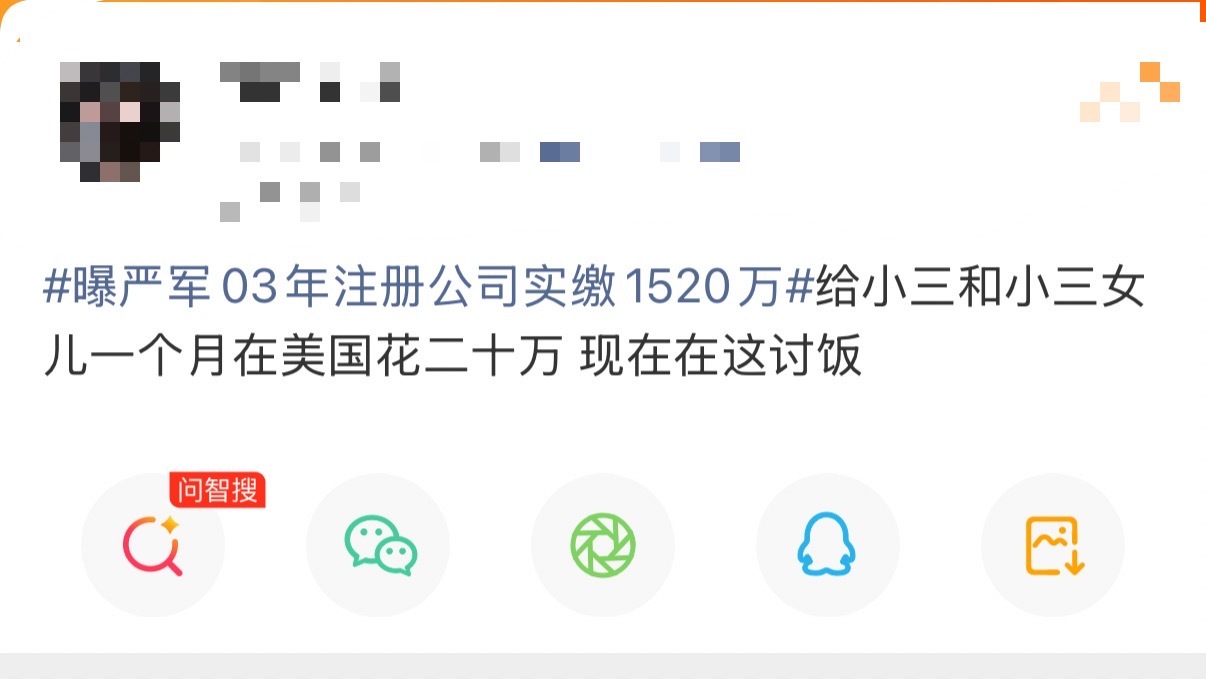 严军聊天记录曝严军03年注册公司实缴1520万 明明可以抵押还债却要在微博升堂，