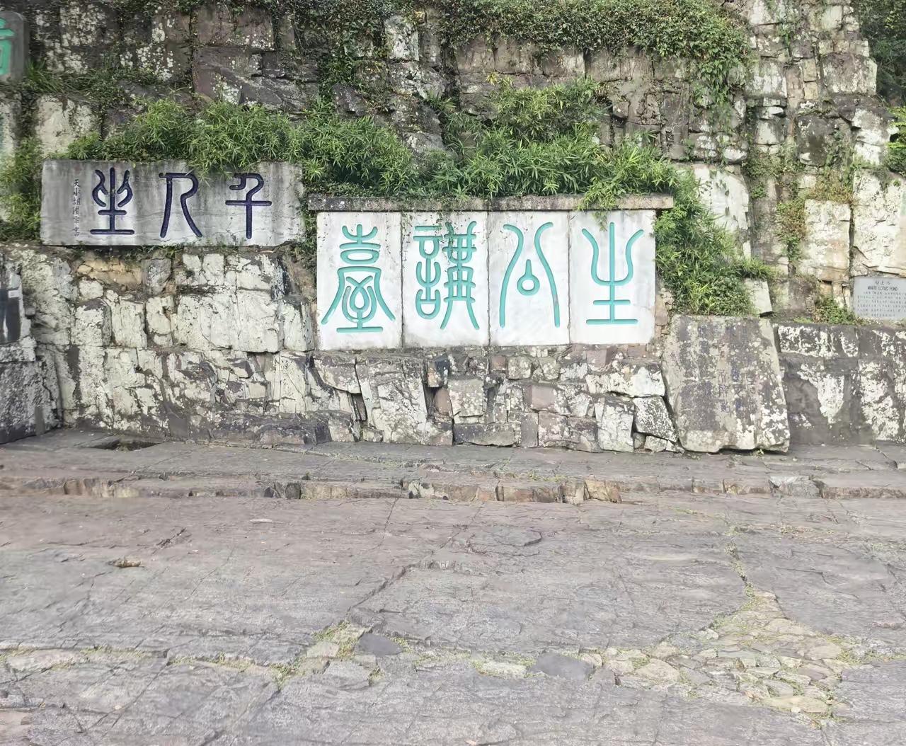 这几个字，肯定要从右往左读，但是读了半天，读不下去了，因为怕读错。
这几个字是啥
