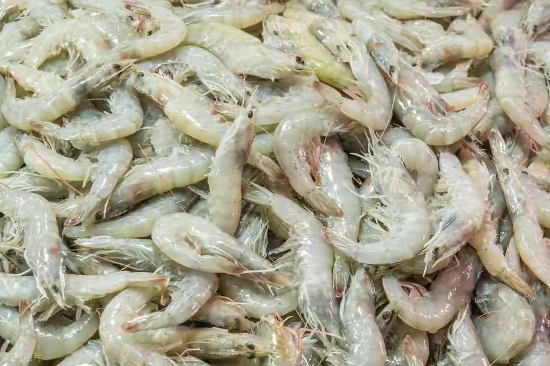 挑大虾千万别盯着那些品相挑不出半点毛病的，常跑水产市场摸出的门道，越是看着“完美