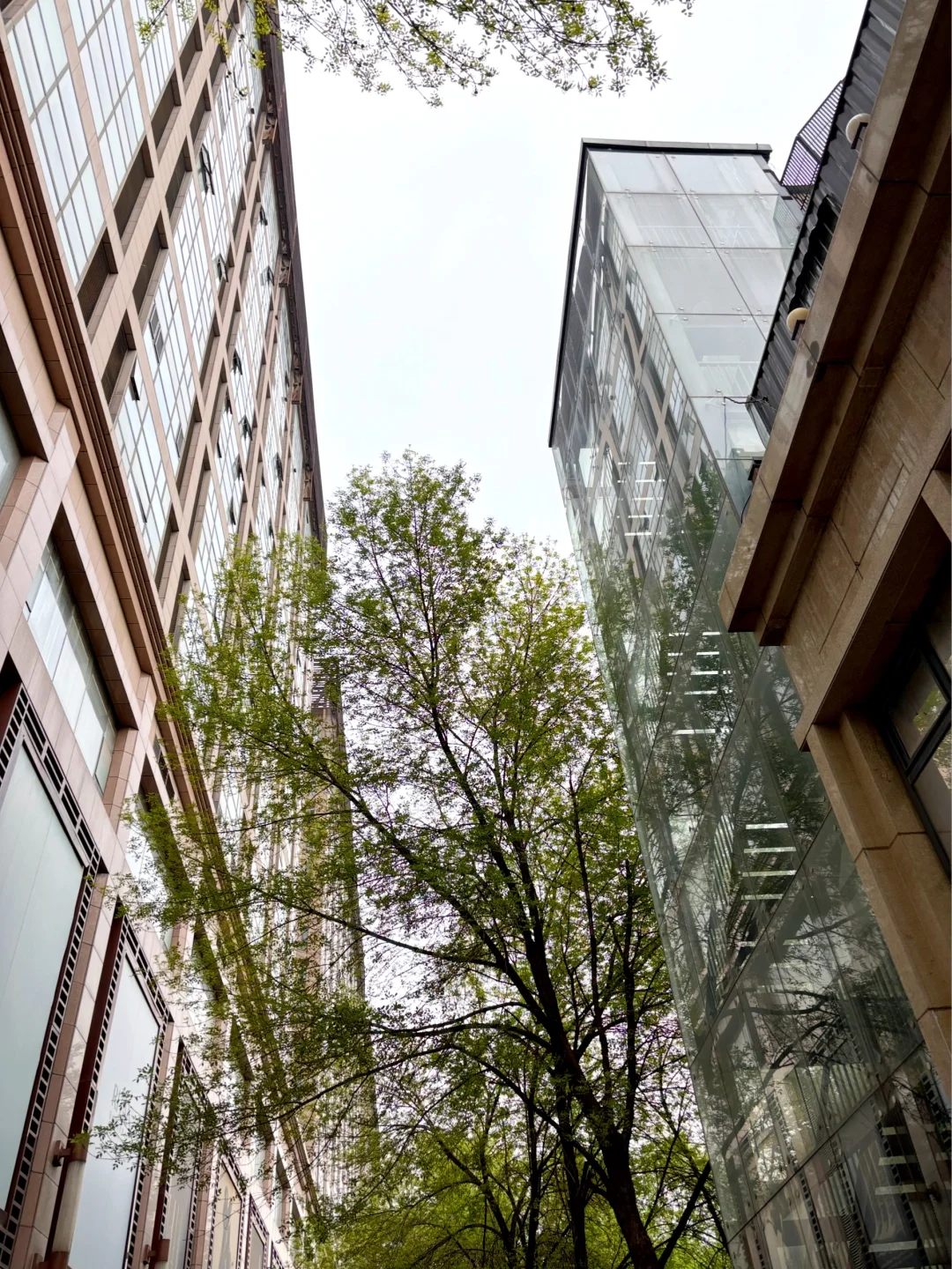 我发现男生喜欢一个女生的表现真的太明显了