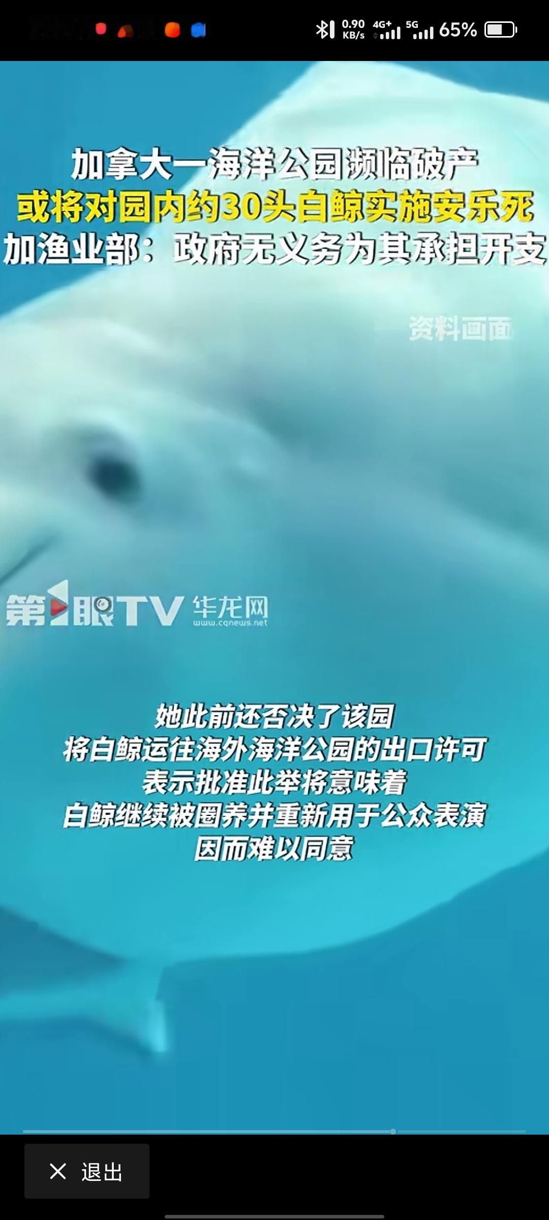 这就是西方国家宣传的核心价值观，天天在那里讲人权。天天在那里讲环保。可他们对几头