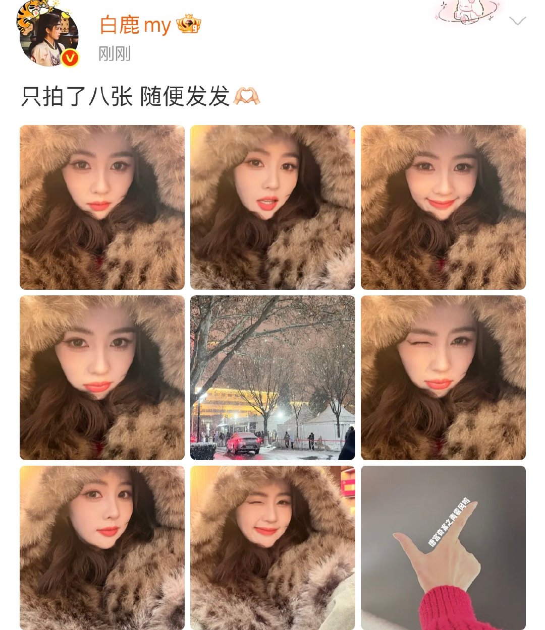 白鹿只拍了八张随便发发白鹿只拍了八张随便发发 