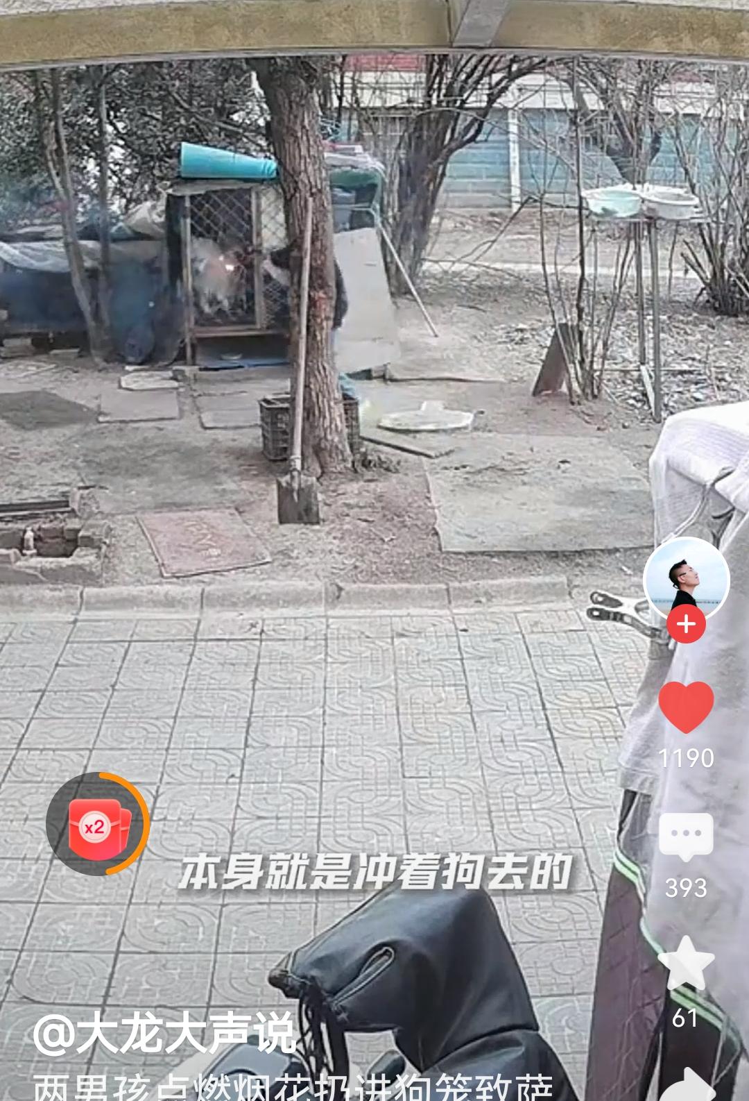 这两个烧死狗的男孩，以后谁还敢和他们在一起上学，玩耍!
必须让他们认识到自己的错