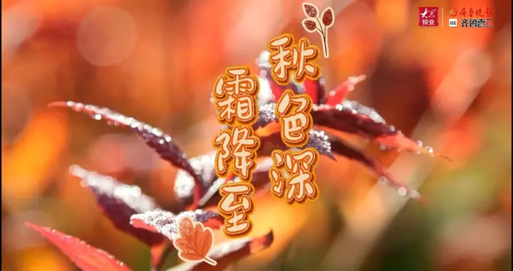 果然视频丨霜降至，德州天衢新区宋官屯街道与您共度深秋！