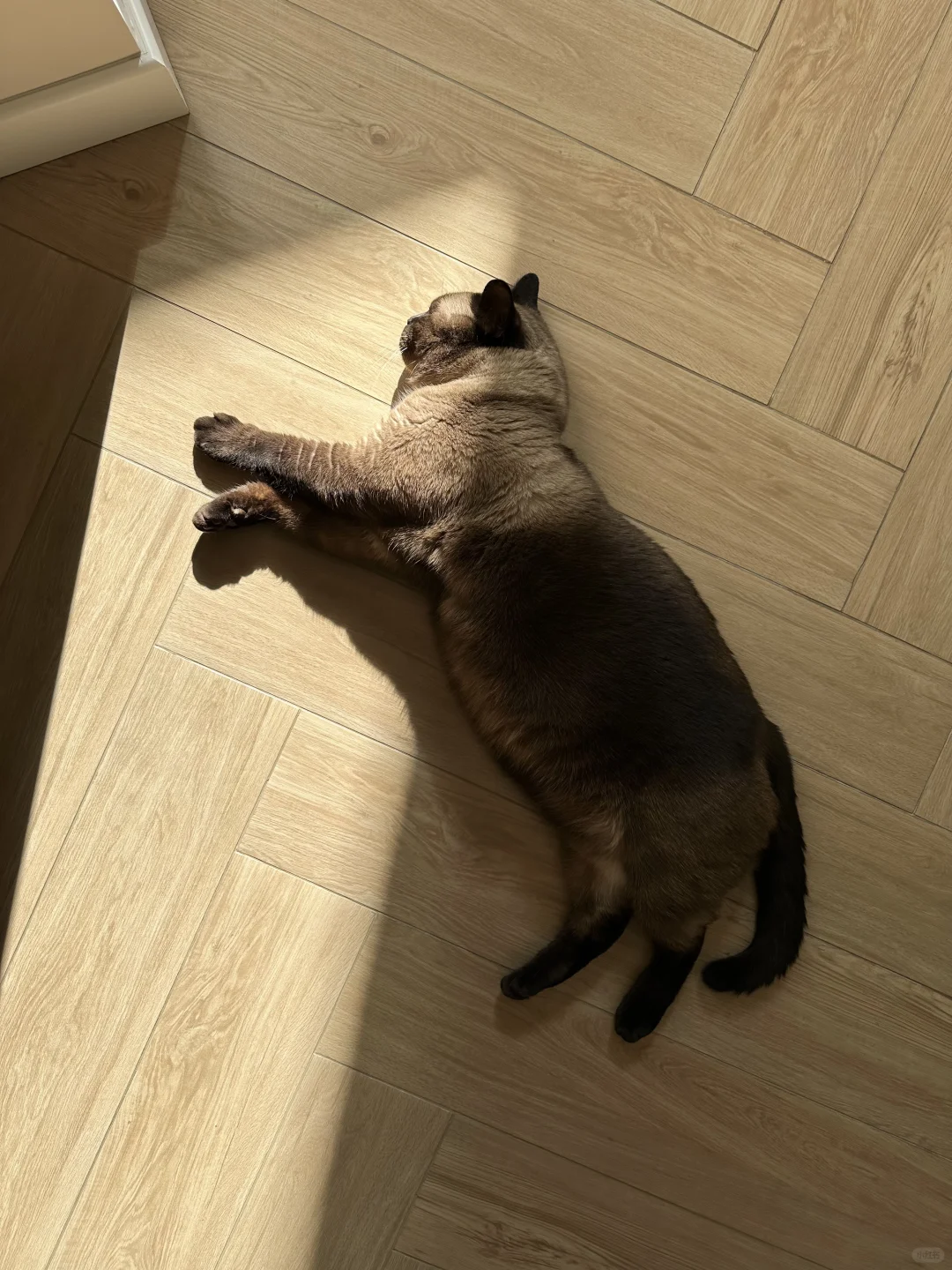 北方好干，我的小猫都裂开了🫨