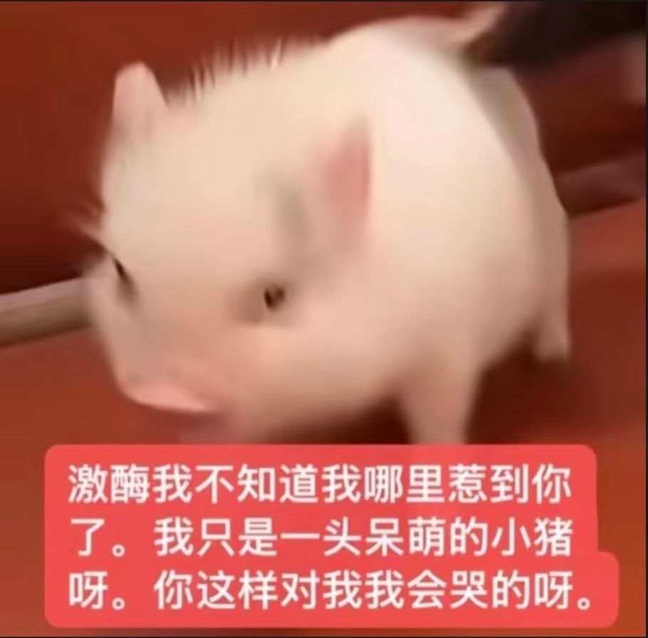 来票。票来。