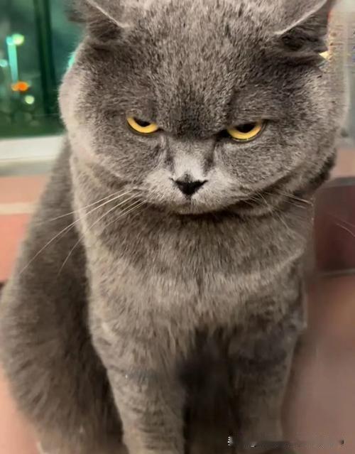 一大早气到发抖！13岁孙子把我的话当耳旁风，真的心累😤
 
早上五点半起床做早