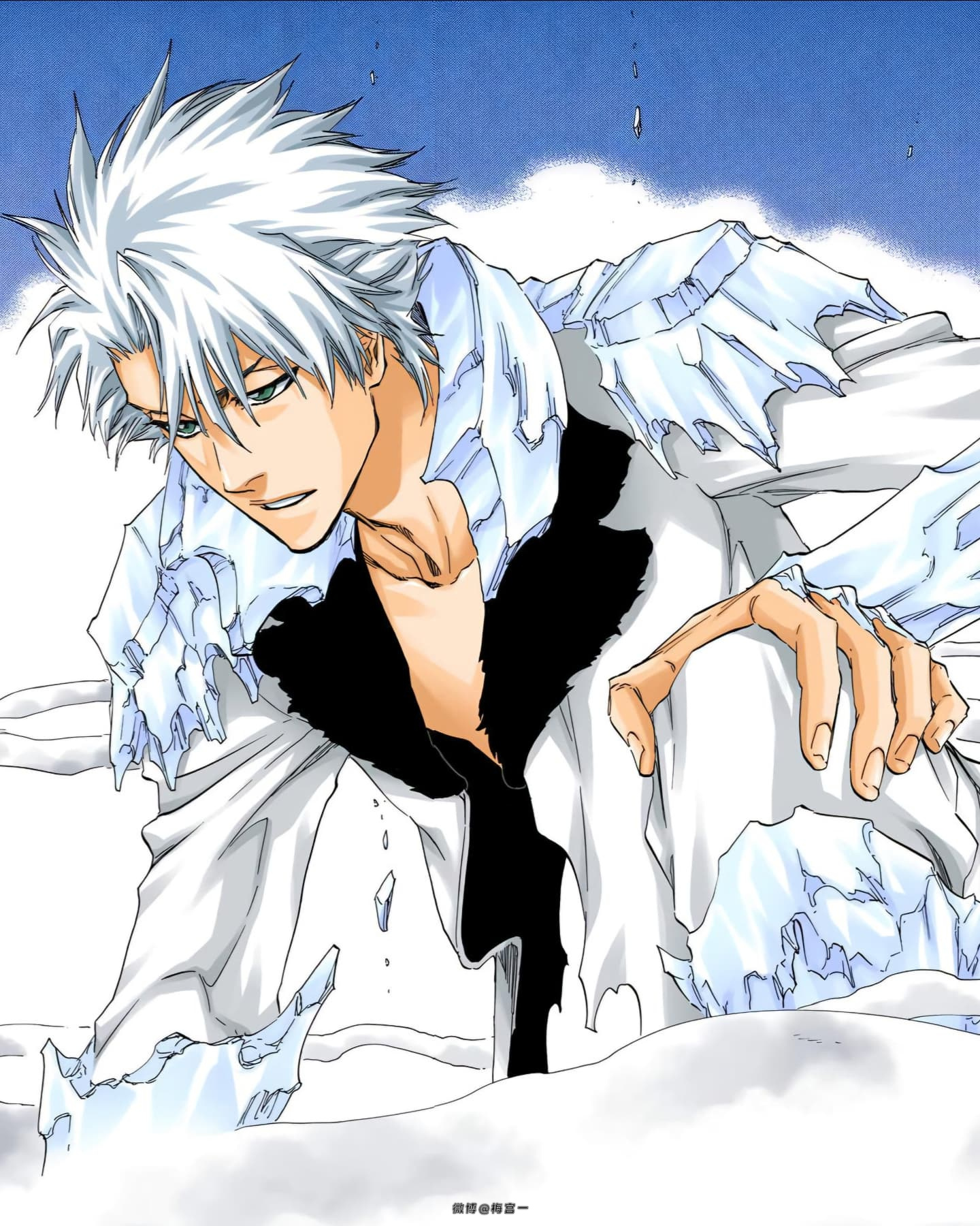 Hitsugaya Toushirou 