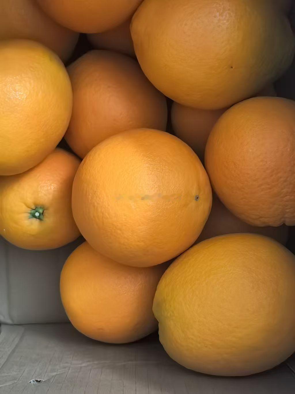 老方一到公司就收到了惊喜快递，打开一看是又大又饱满的橙子！看着就馋人。最近我也没