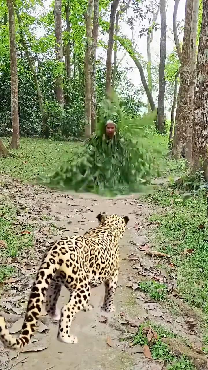 啊，啊，啊，啊，啊，啊，啊，啊，啊，啊，啊，啊，啊，啊，啊，啊。