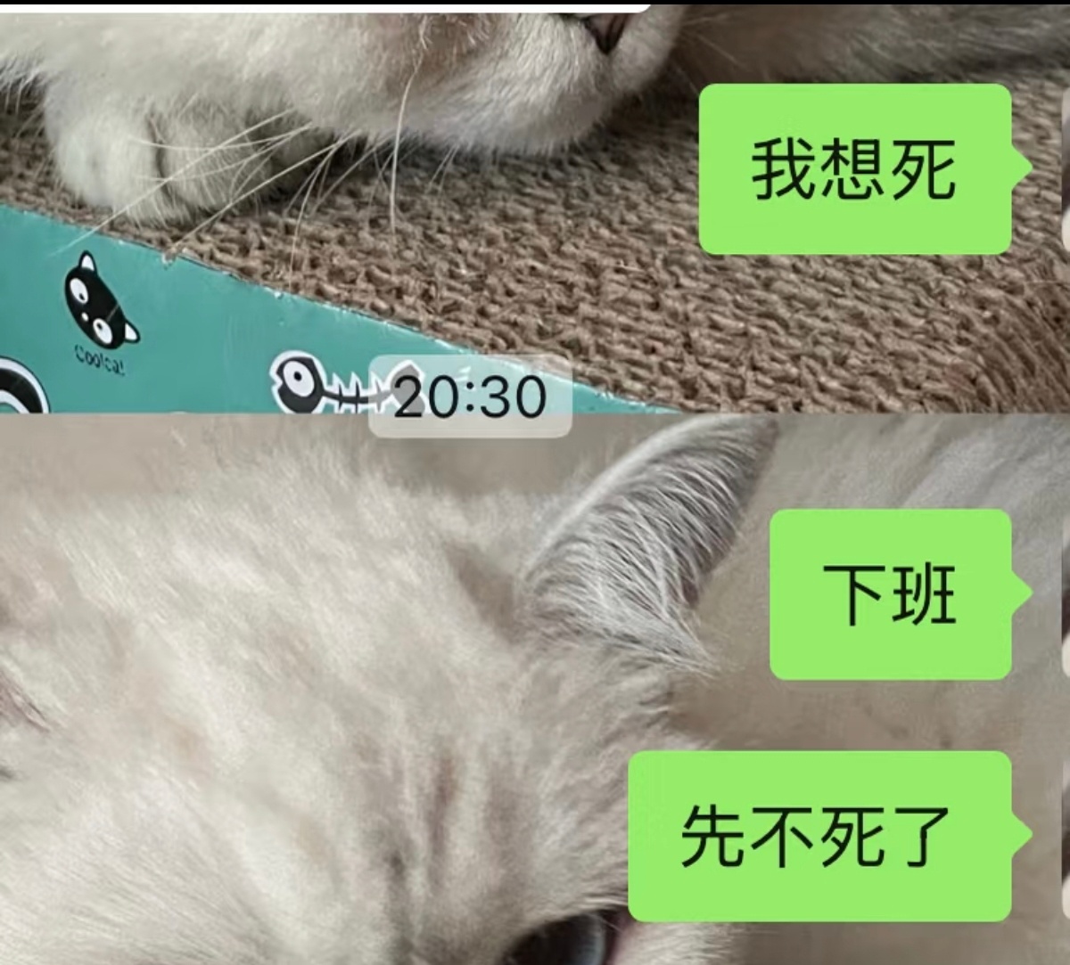 古有为五斗米折腰，今有为5千块卖命