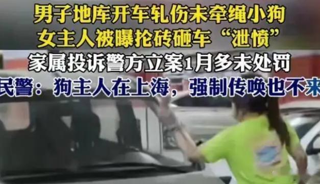 武汉一女子，在地下车库遛狗没牵绳，狗被一辆面包车压着了。女子这立马不乐意了，觉得