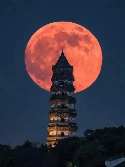 江城子·元宵血月
 
鳌山烟暖沸笙簧。夜未央，月如霜。
忽染胭脂，红透九回肠。