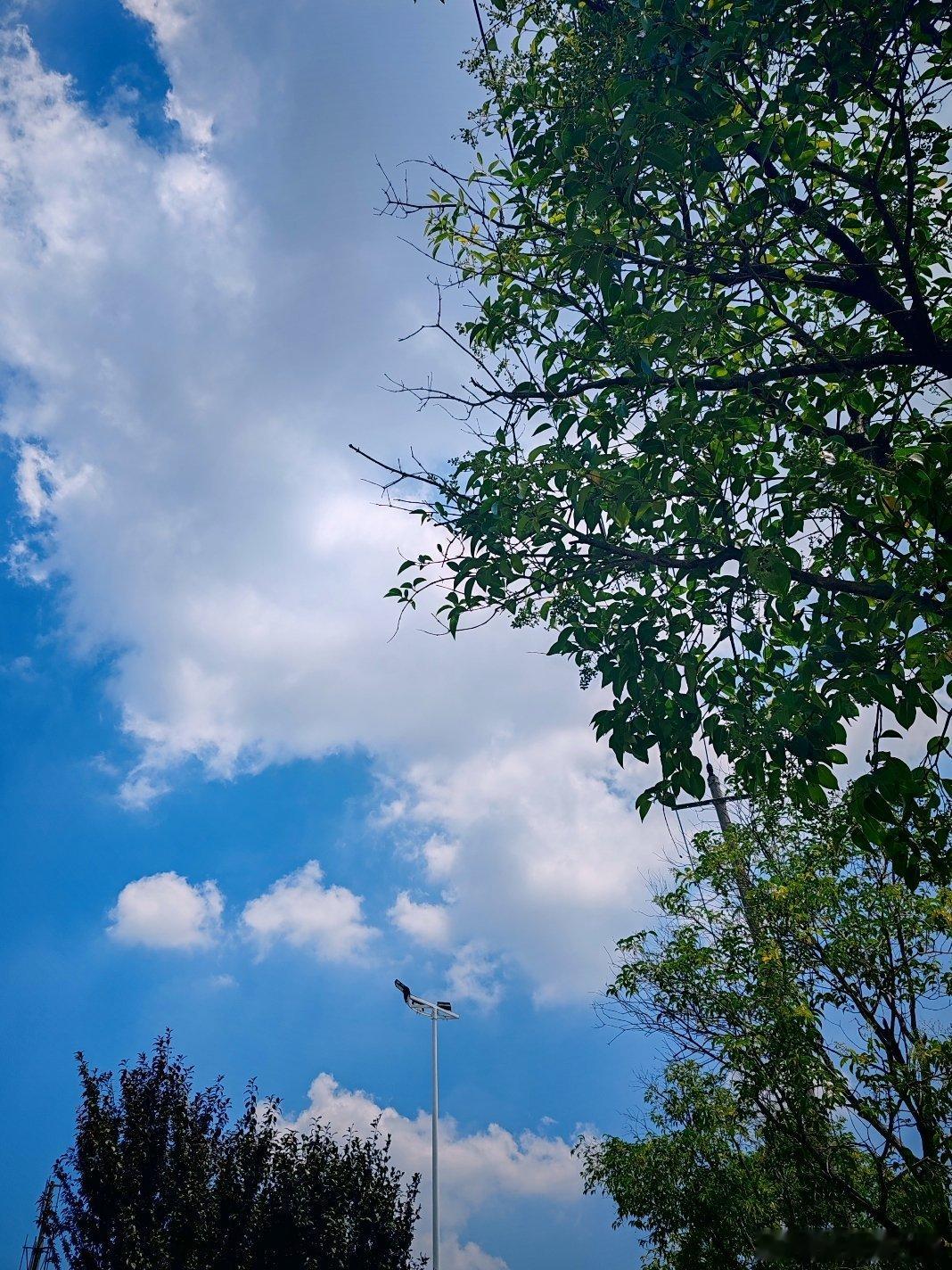 又是一个蓝天白云的炎热天气，明天就立秋了，但气温依然很高…… 