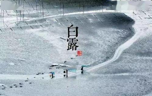 白露怎么过白露这天别再瞎喝什么白露茶、吃什么龙眼凑仪式感了，大部分人都踩错了重点