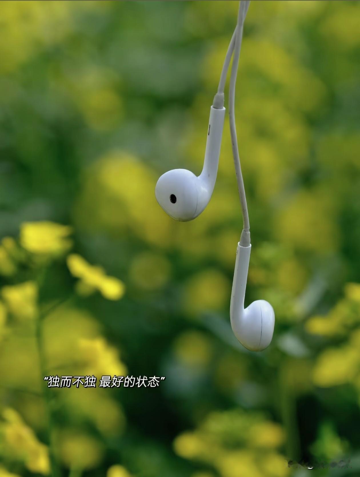 求满几时满，
知止方为止。

人生就是充满不确定性和遗憾，都是普通人，好好活着知