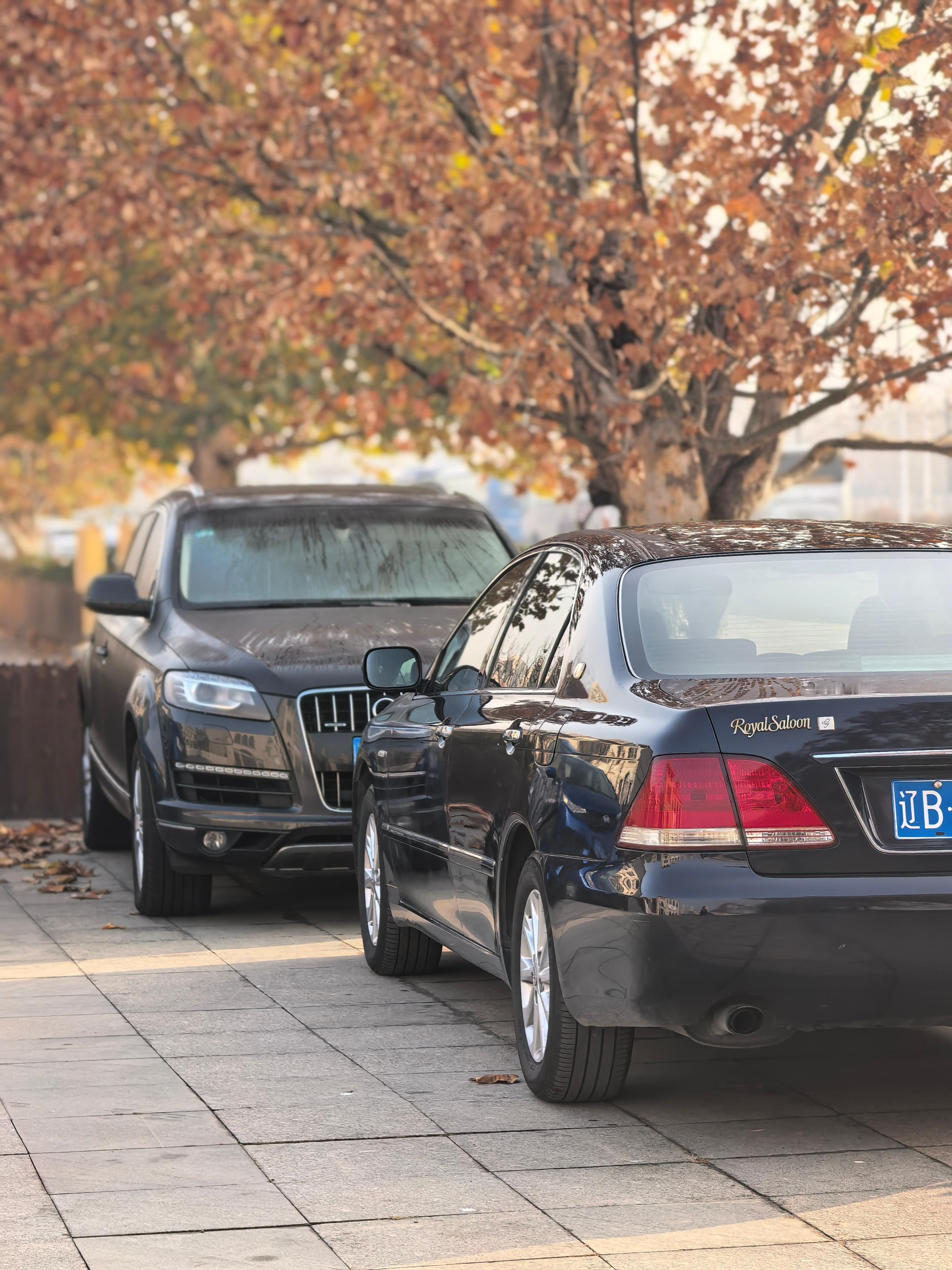 商务人士标配：一台顶级旗舰 SUV再加一台豪华轿车