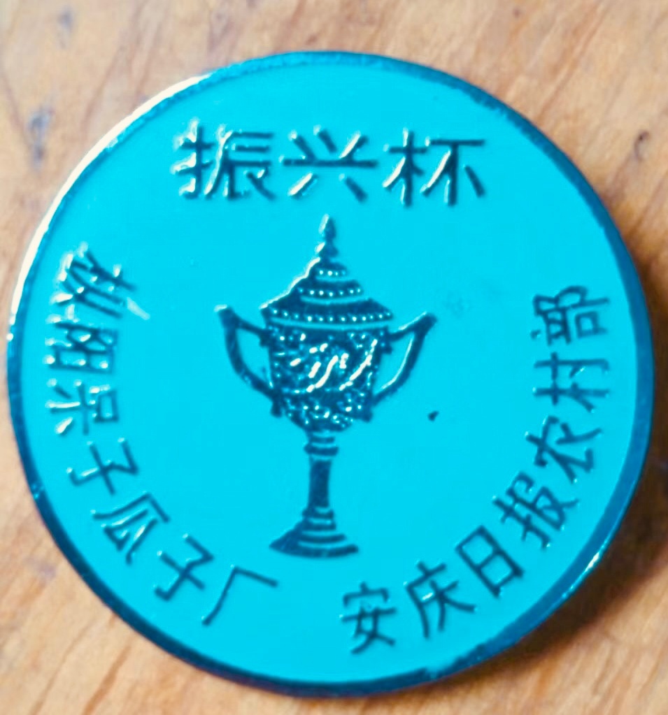 曾经到处流行傻子 
