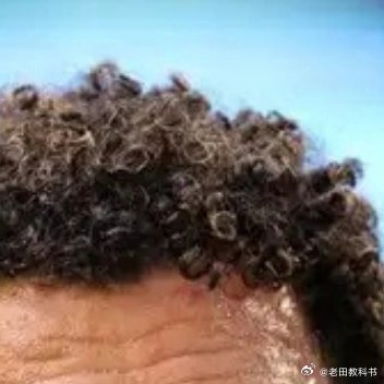佛得角门将再添新荣誉佛得角40岁门将沃齐尼亚在世界杯封神之后再获一项特殊跨界荣誉