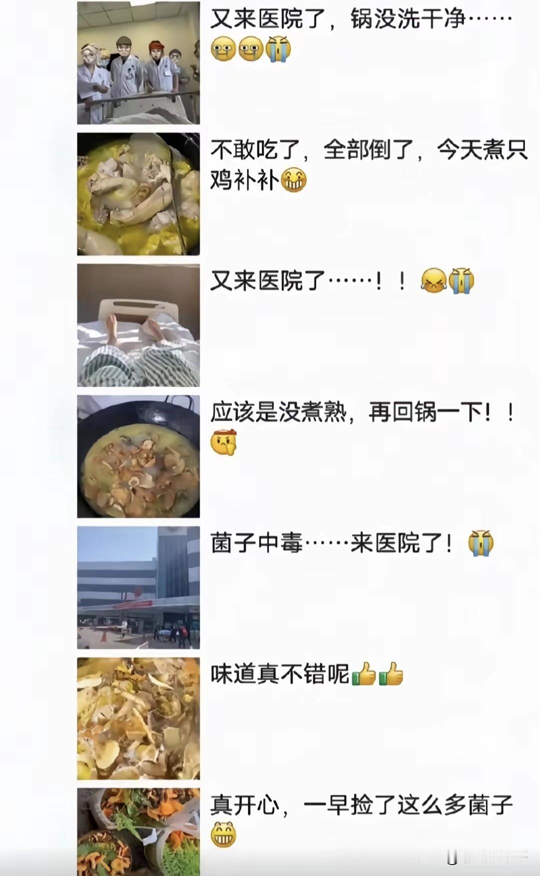 云南人对野生菌子真的太执着了