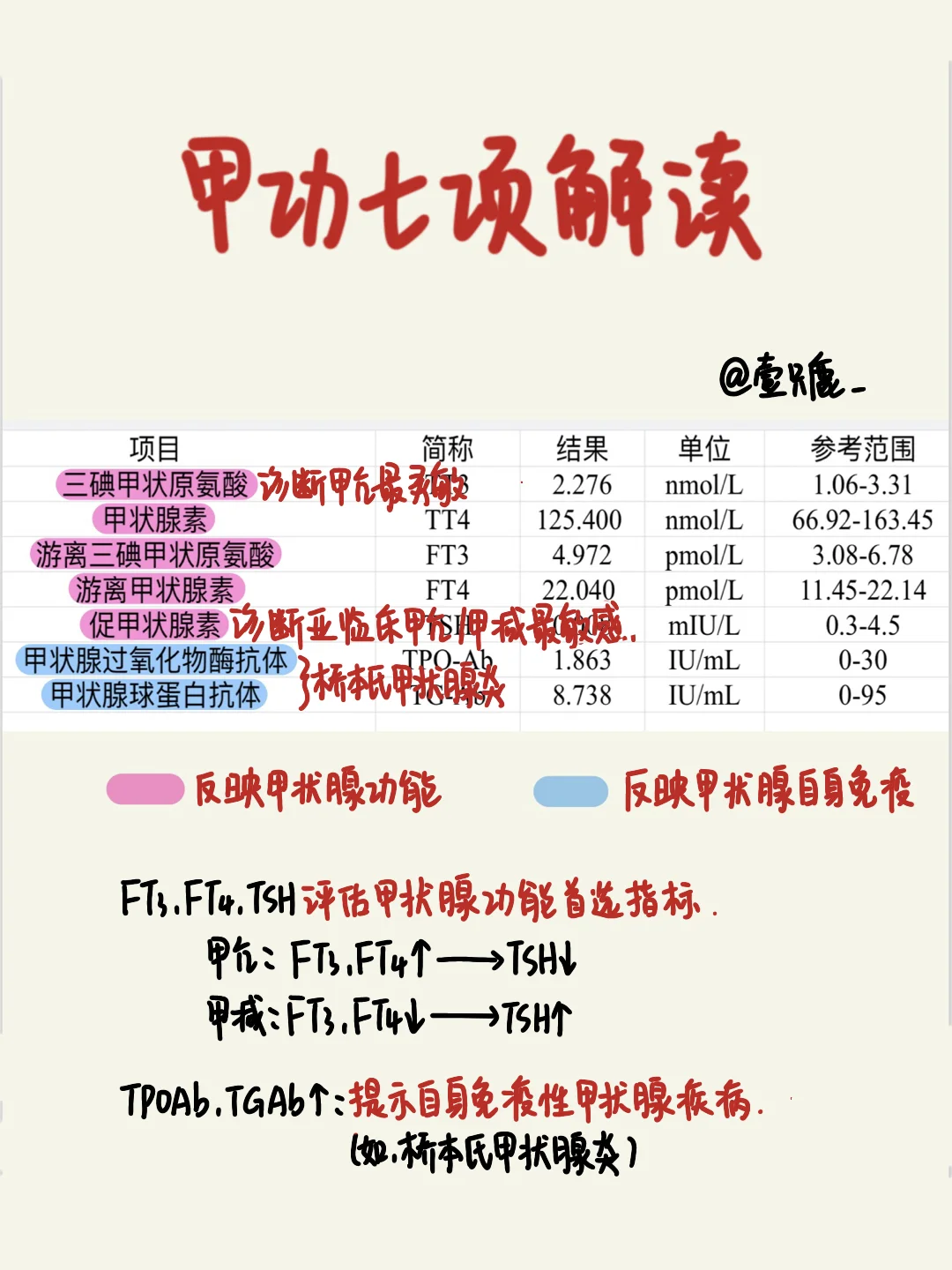 学习笔记📒｜甲功七项解读🧐
