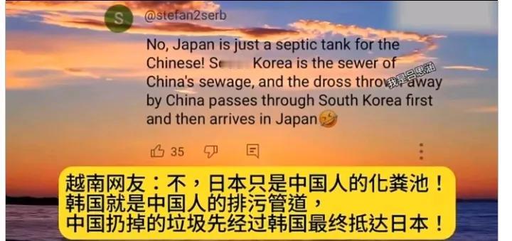 不得不说越南人对中日韩的关系理解还是很到位的，旁观者清嘛，日韩确实并未真正学习到