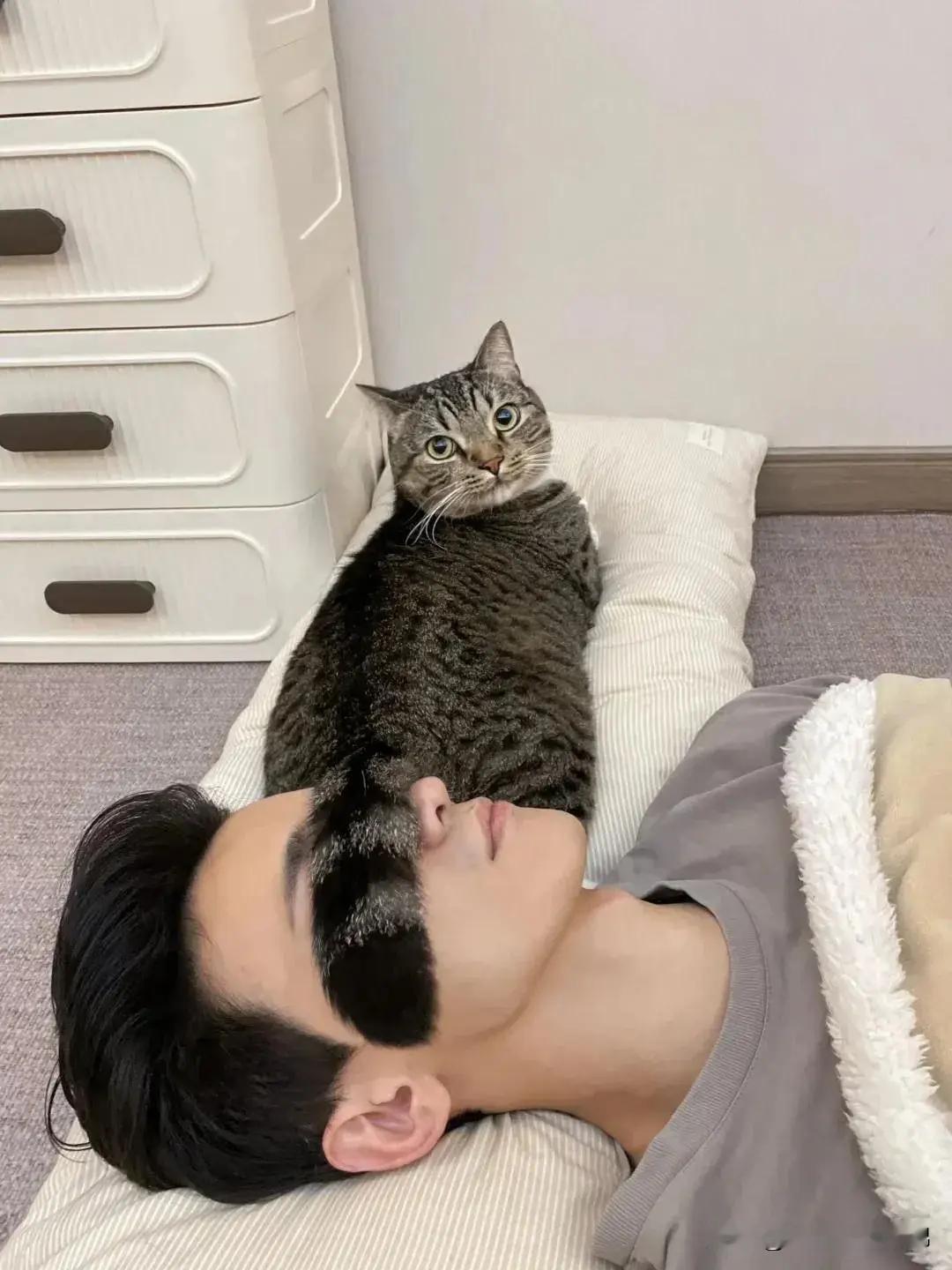 猫尾眼罩保证你睡眠😴质量和安全。