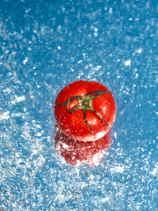 用蕃茄搞点创作 🍅